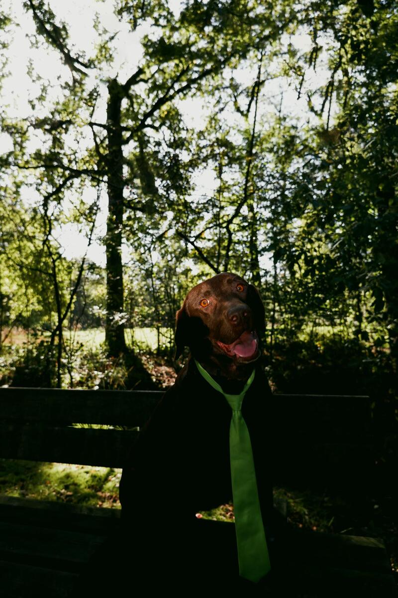 culd. afbeelding slideshow over ons 1