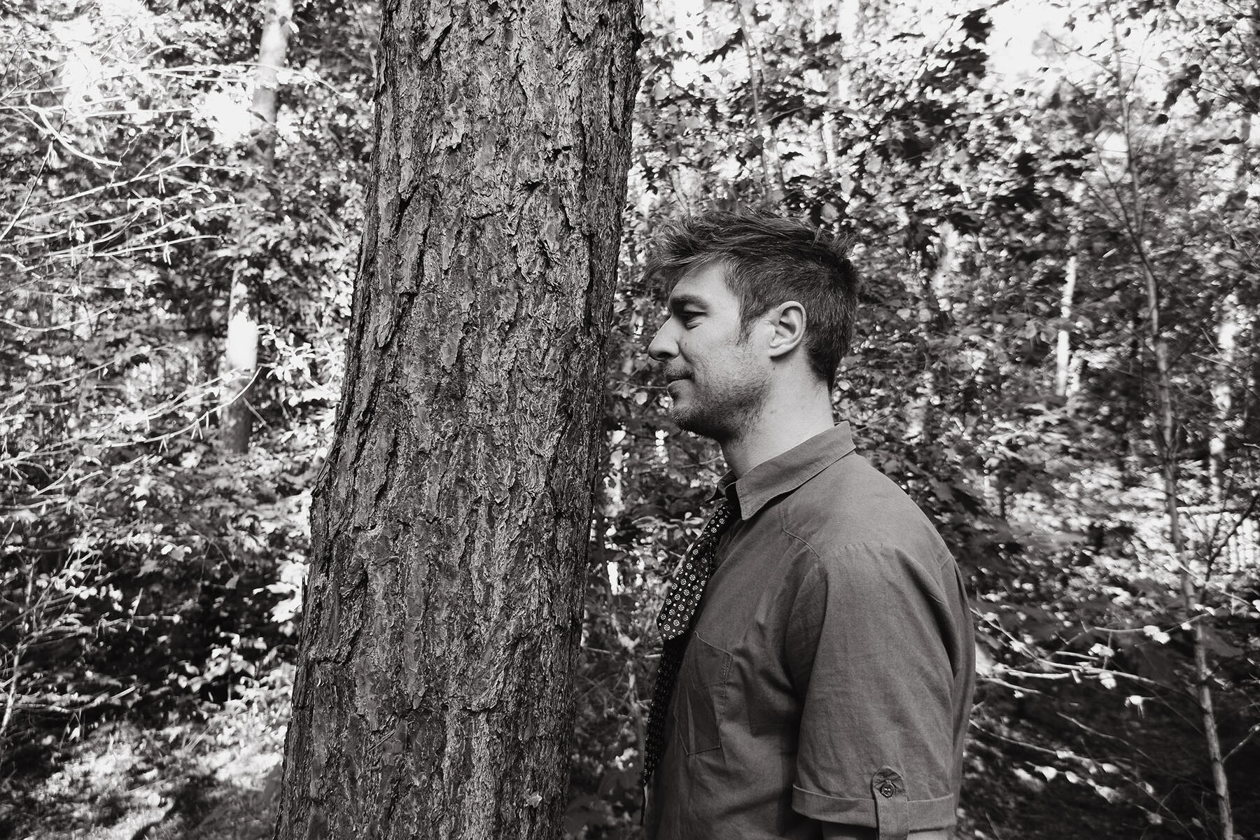 culd. afbeelding slideshow culd. @treelodge .synergy 4