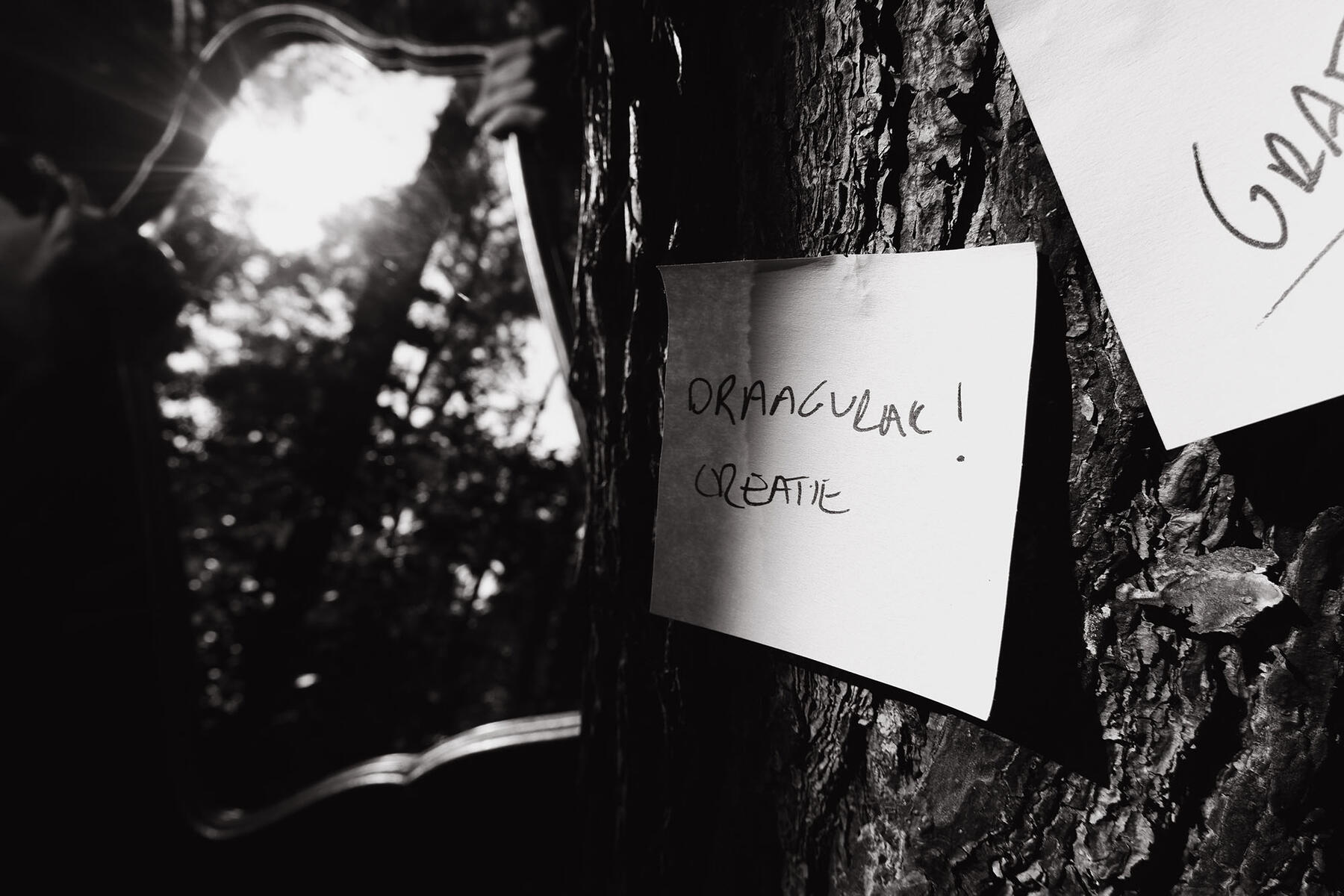 culd. afbeelding slideshow culd. @treelodge .synergy 10