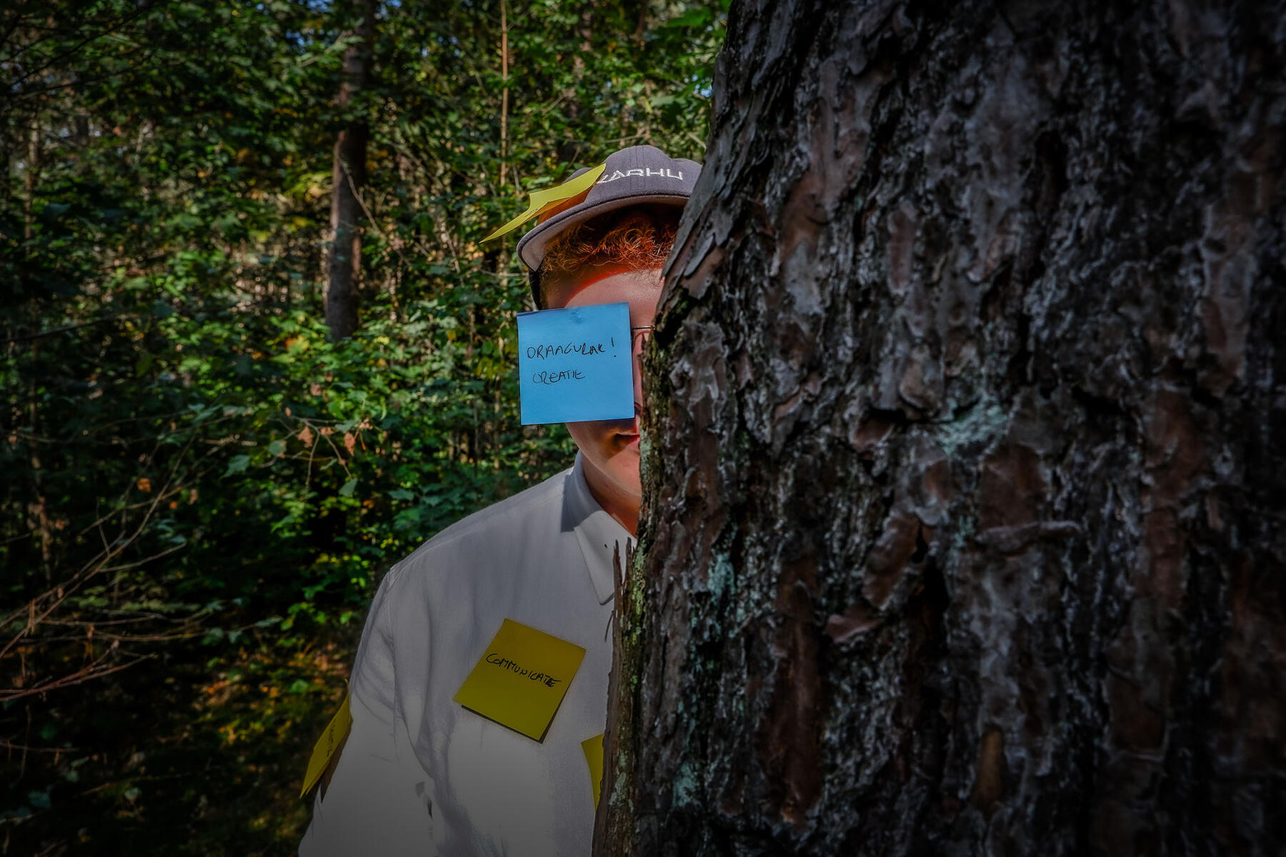 culd. afbeelding slideshow culd. @treelodge .synergy 11