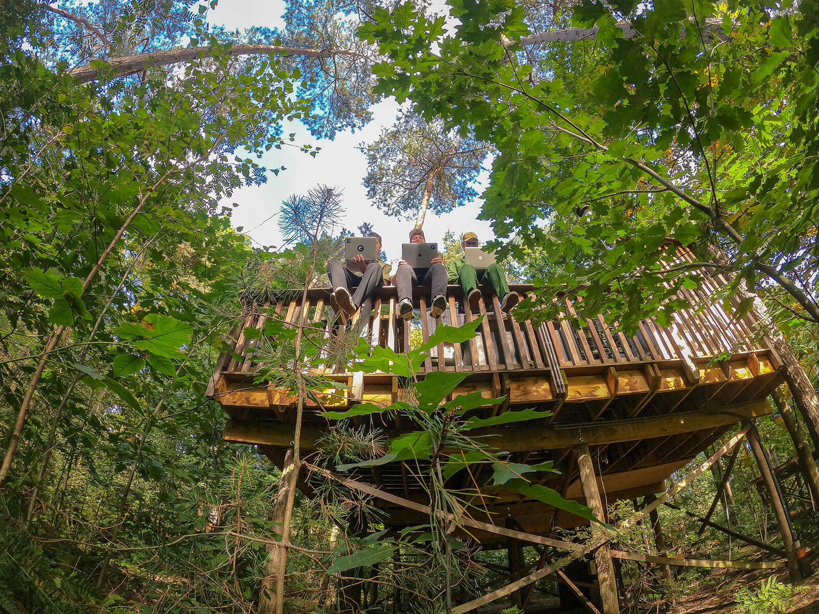 culd. afbeelding slideshow culd. @treelodge .synergy 17