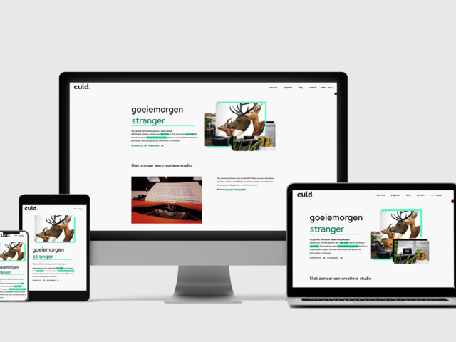 afbeelding Duurzame websites, een utopie?