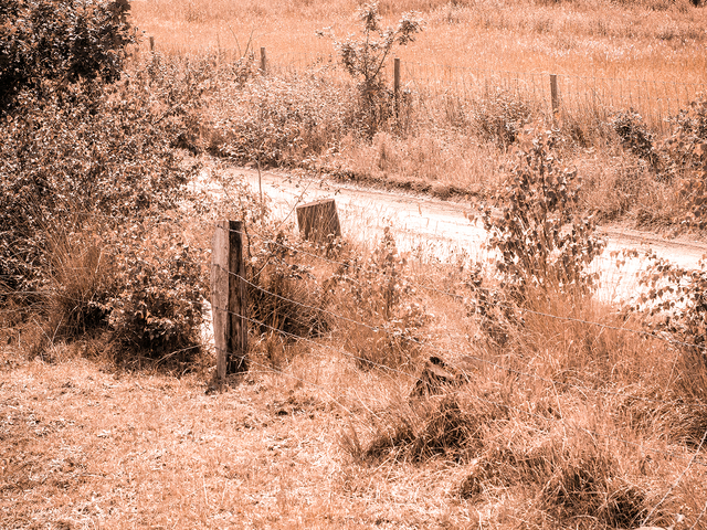 afbeelding SEO versus GEO